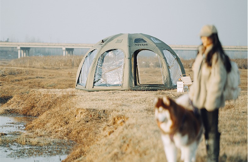 21-2024-263 21-2024-263