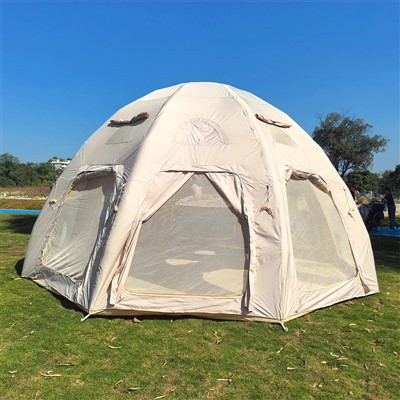 10 FT জিওডেসিক ডোম